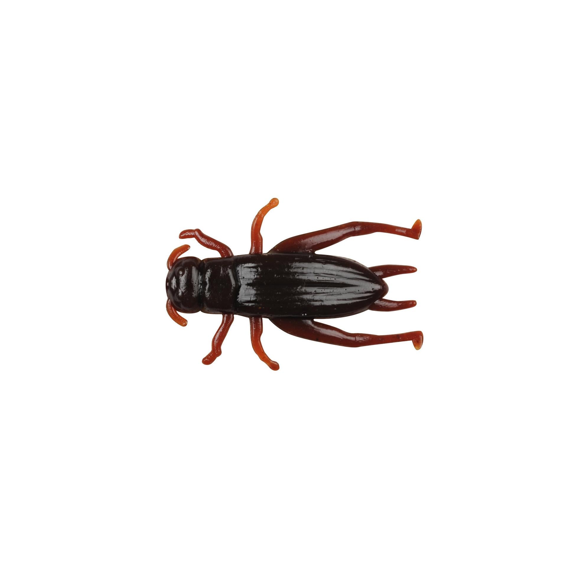 Gulp! Cricket