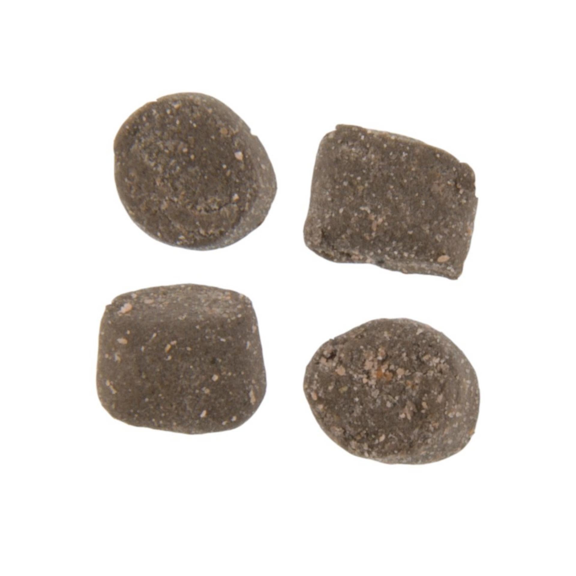Alternative view of PowerBait Trout Nuggets