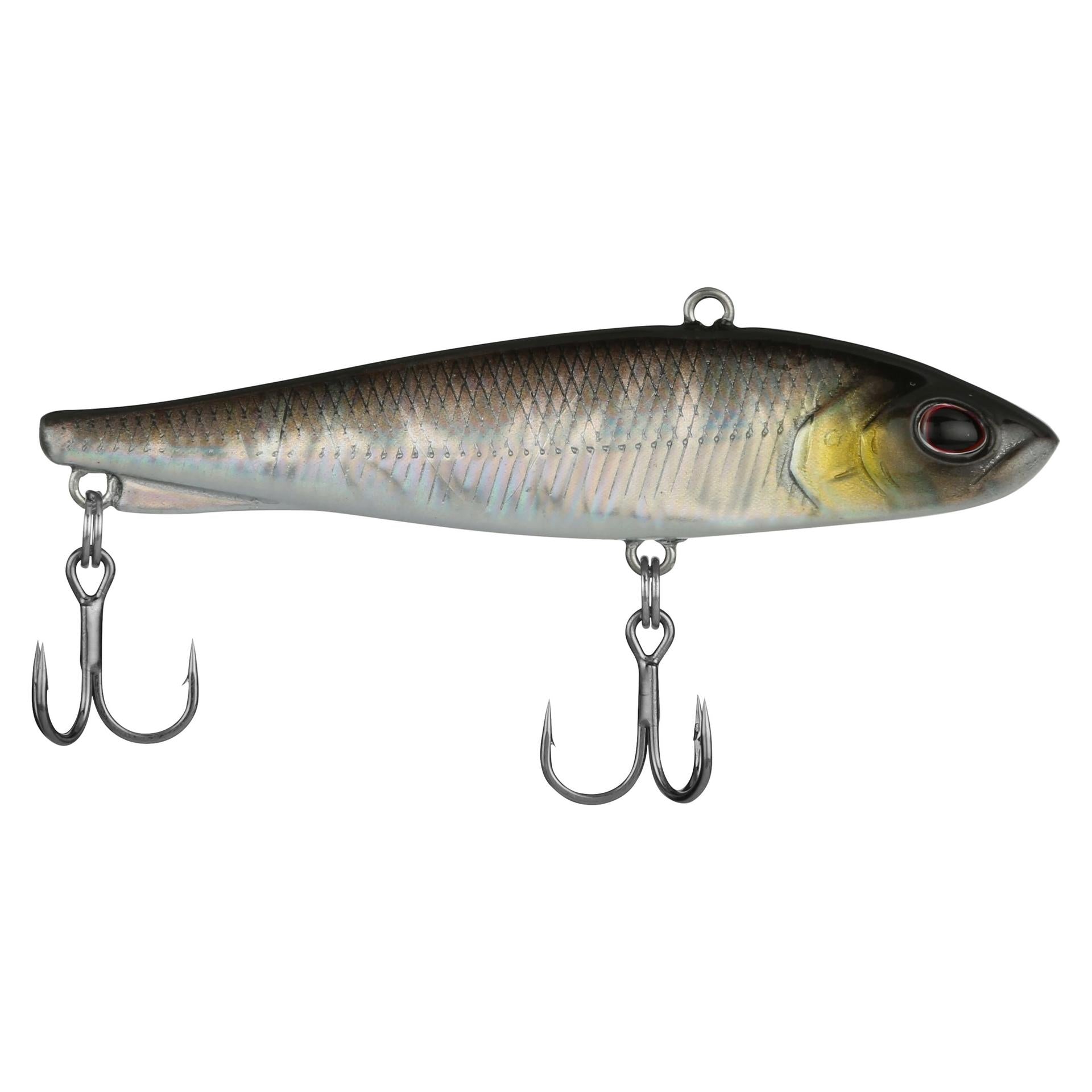 Alternative view of Ripfish