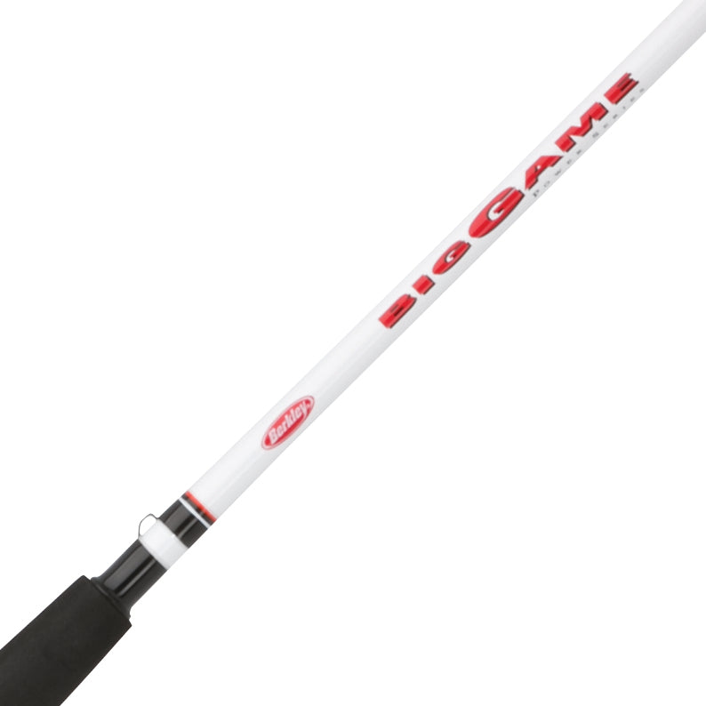 Alternative view of Big Game Spinning Combo