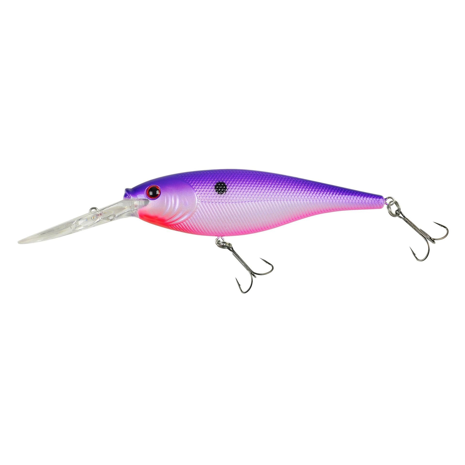 Alternative view of Flicker Shad