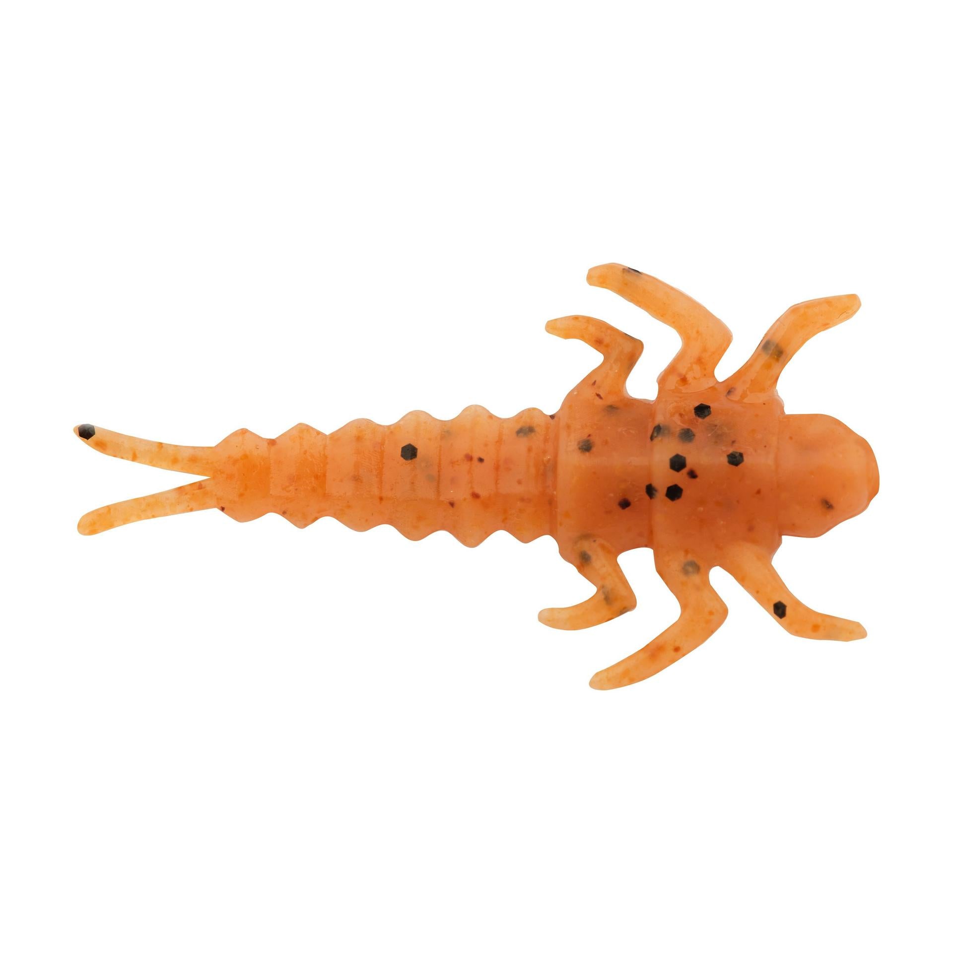 Alternative view of Gulp! Alive! Stonefly