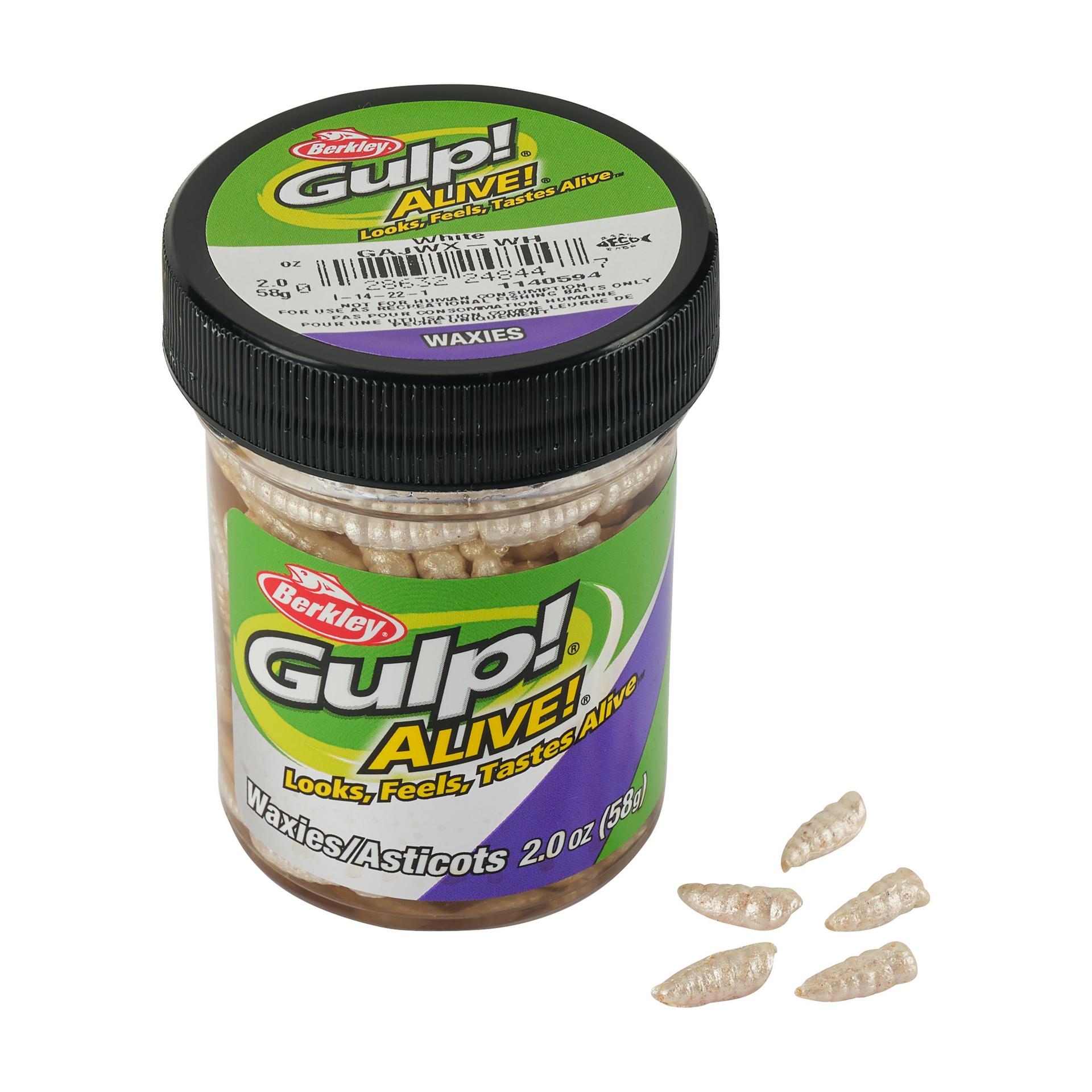 Alternative view of Gulp! Alive! Waxies
