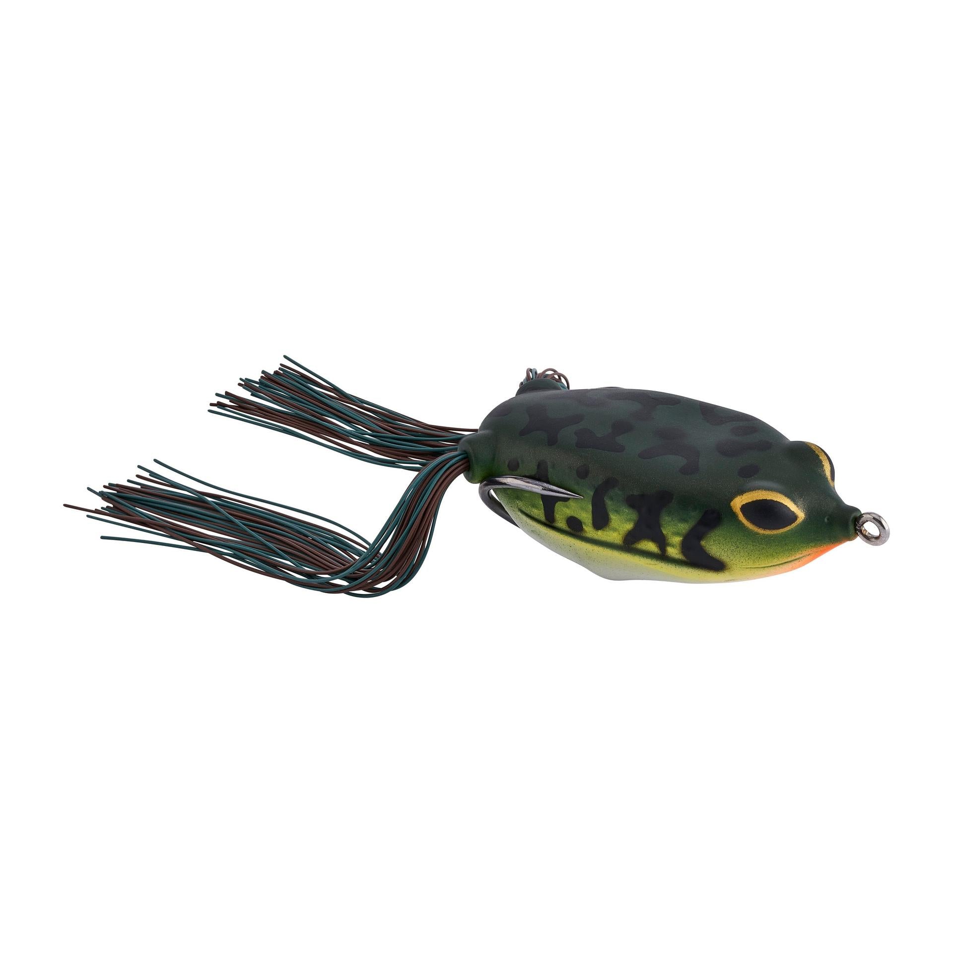 Alternative view of Swamp Lord Hollow Body Frog