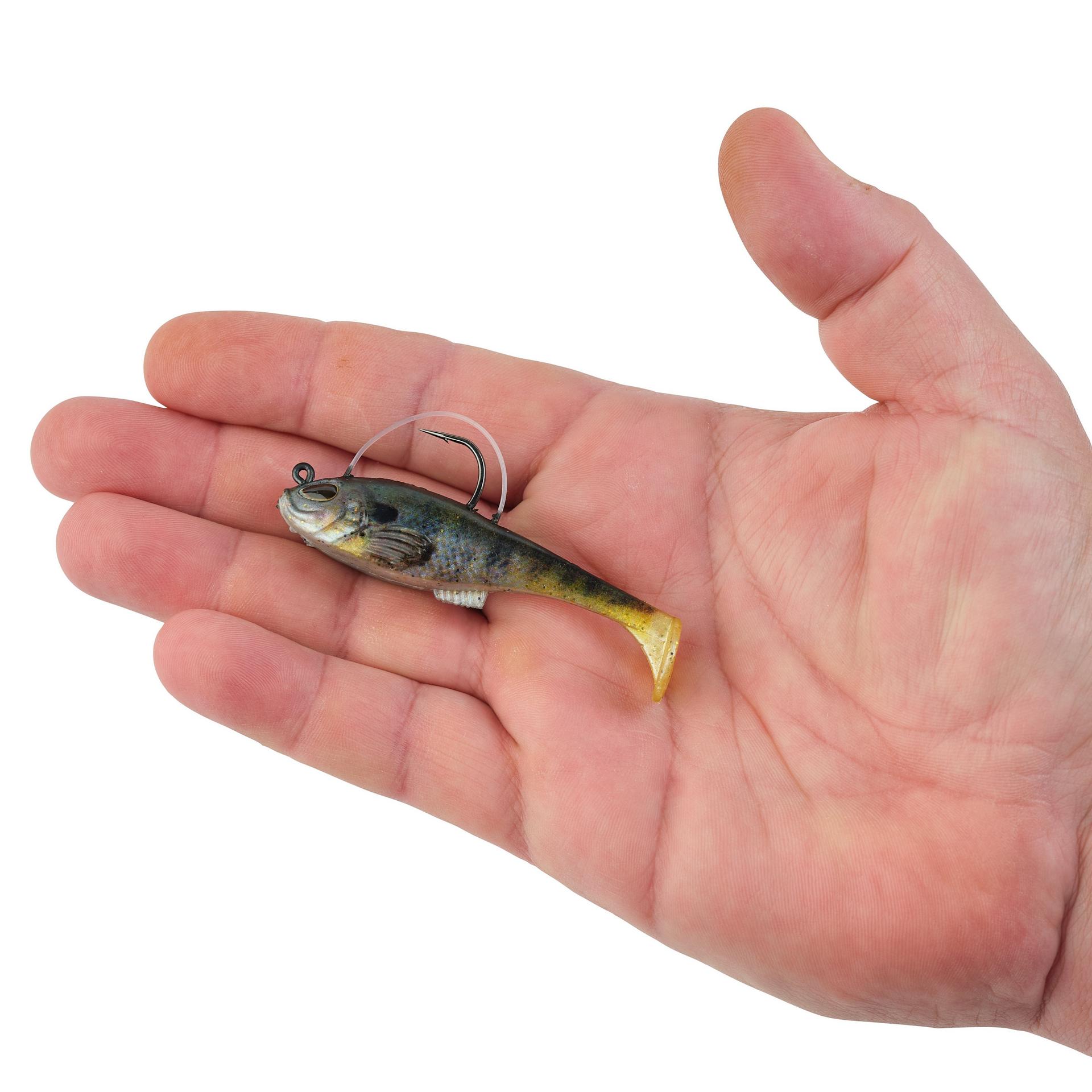 PowerBait Agent E - Image 76