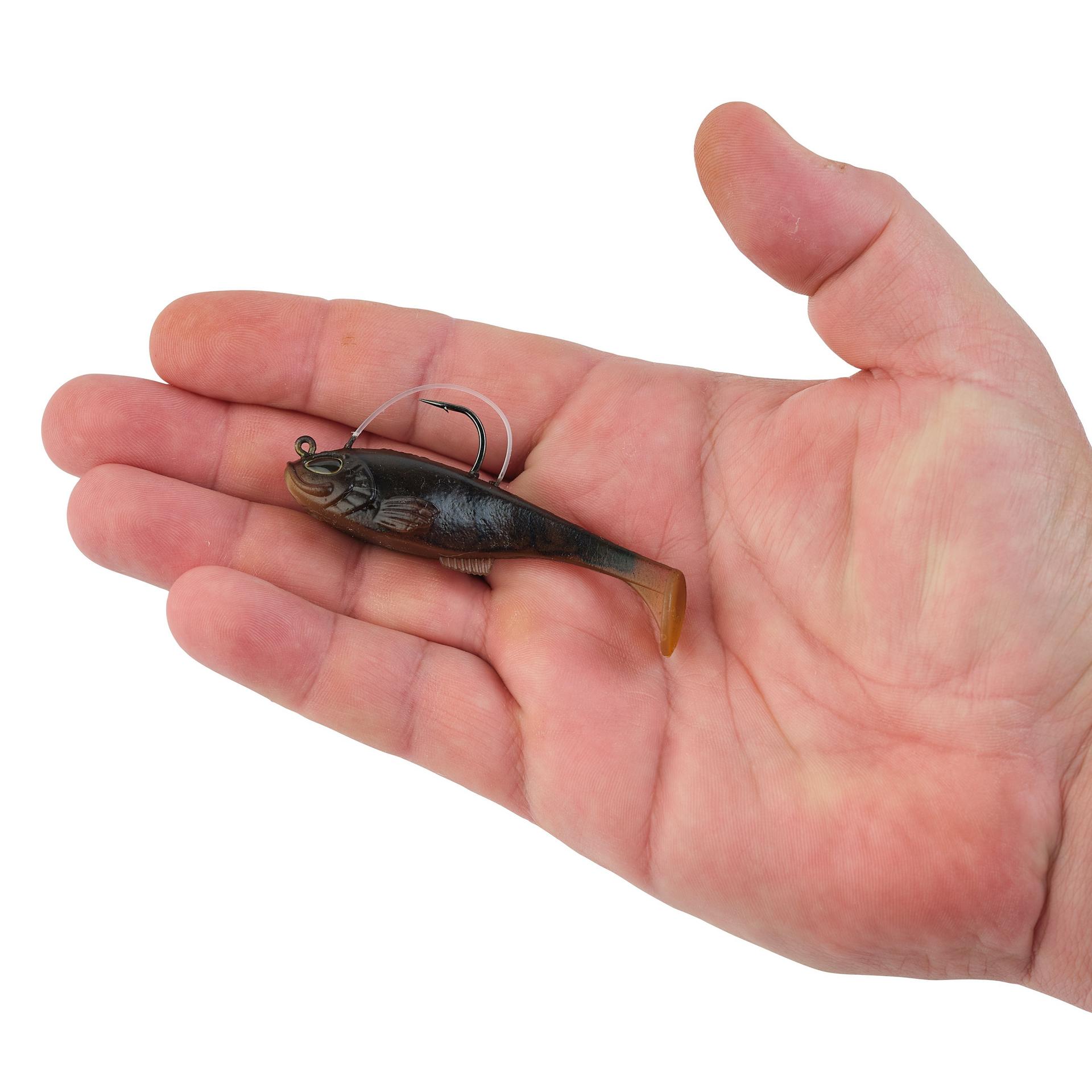 PowerBait Agent E - Image 79